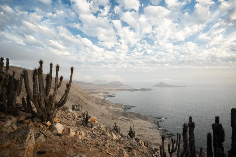 WhatsApp Image 2025-07-03 at 17.02