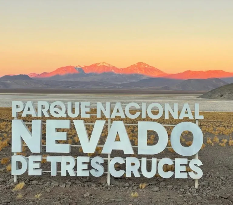 WhatsApp Image 2025-07-04 at 13.18